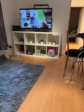 Stunning Oxford Street Furnished Apartment
